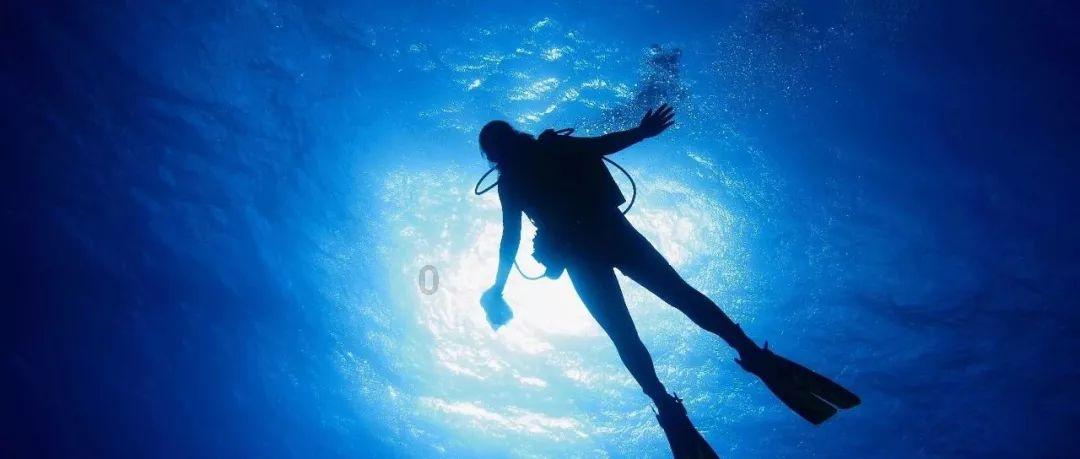 质量效应：仙女座