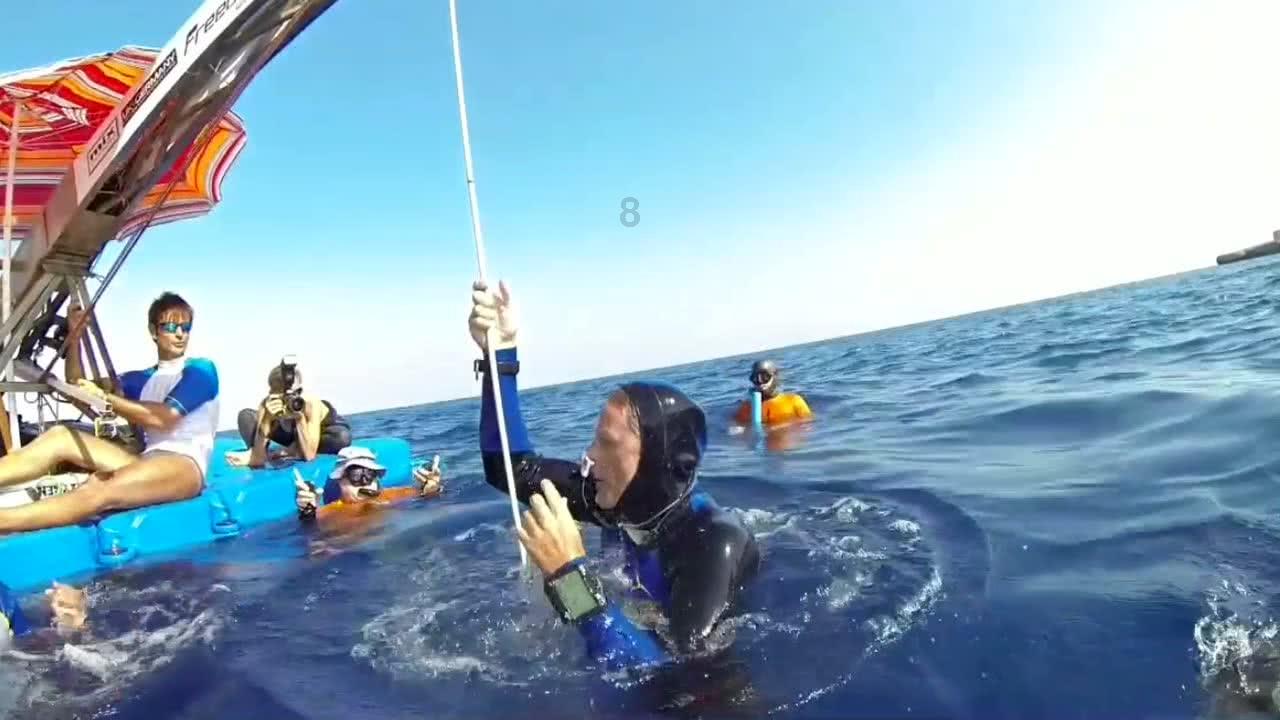 失踪的书籍