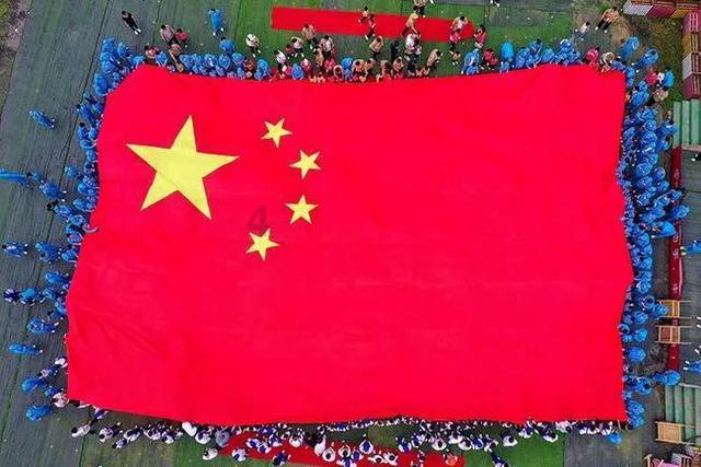 动物帮帮忙保卫家园